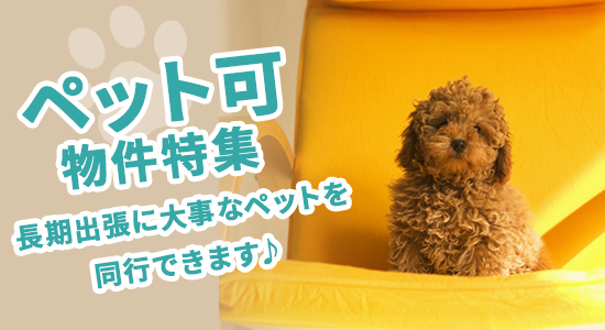 ペット